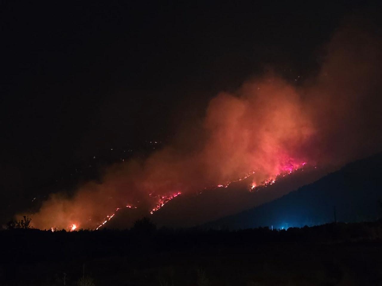 Orman yangınından bir görüntü