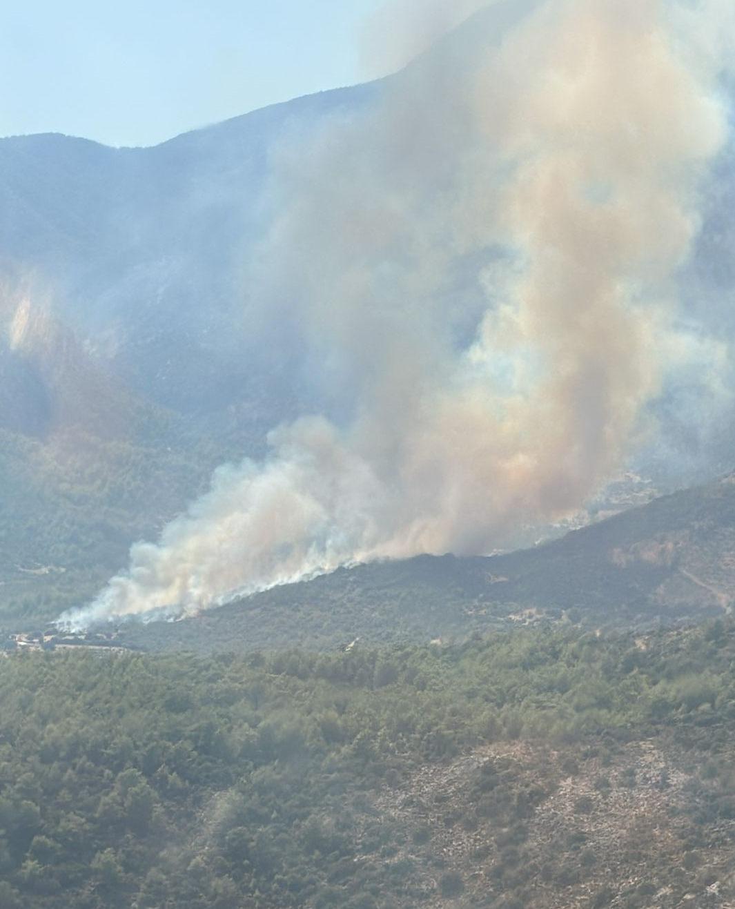 Muğla'nın Seydikemer ilçesinde ormanlık alanda yangın çıktı.