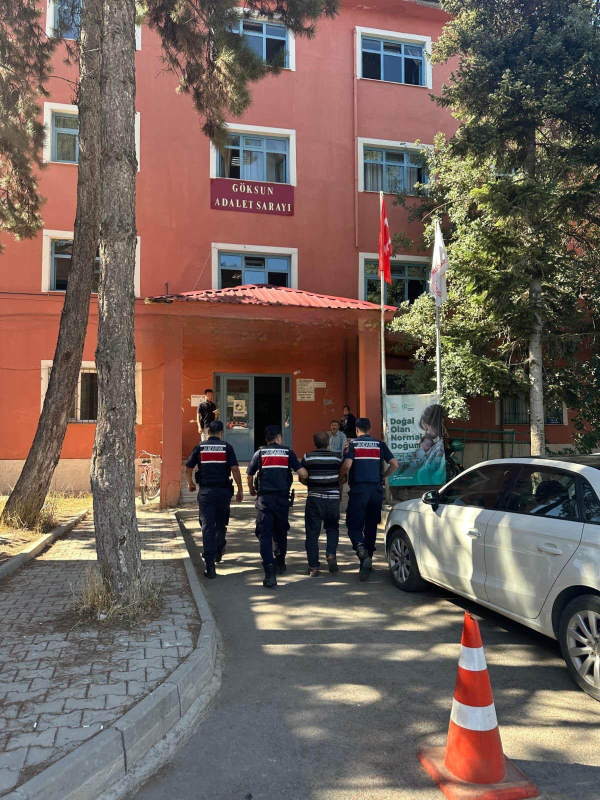 Arıları sakinleştirmek isterken 80 hektar ormanı yaktı.