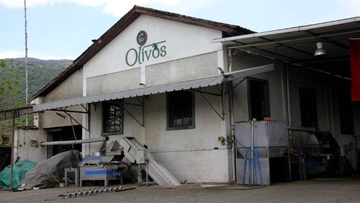 Olivos Pazarlama A.Ş.