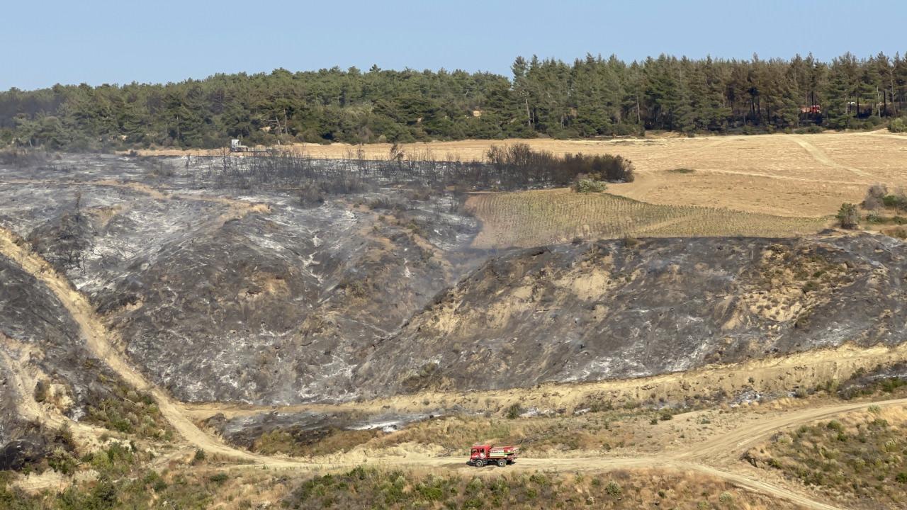 Çanakkale orman yangınından görüntü