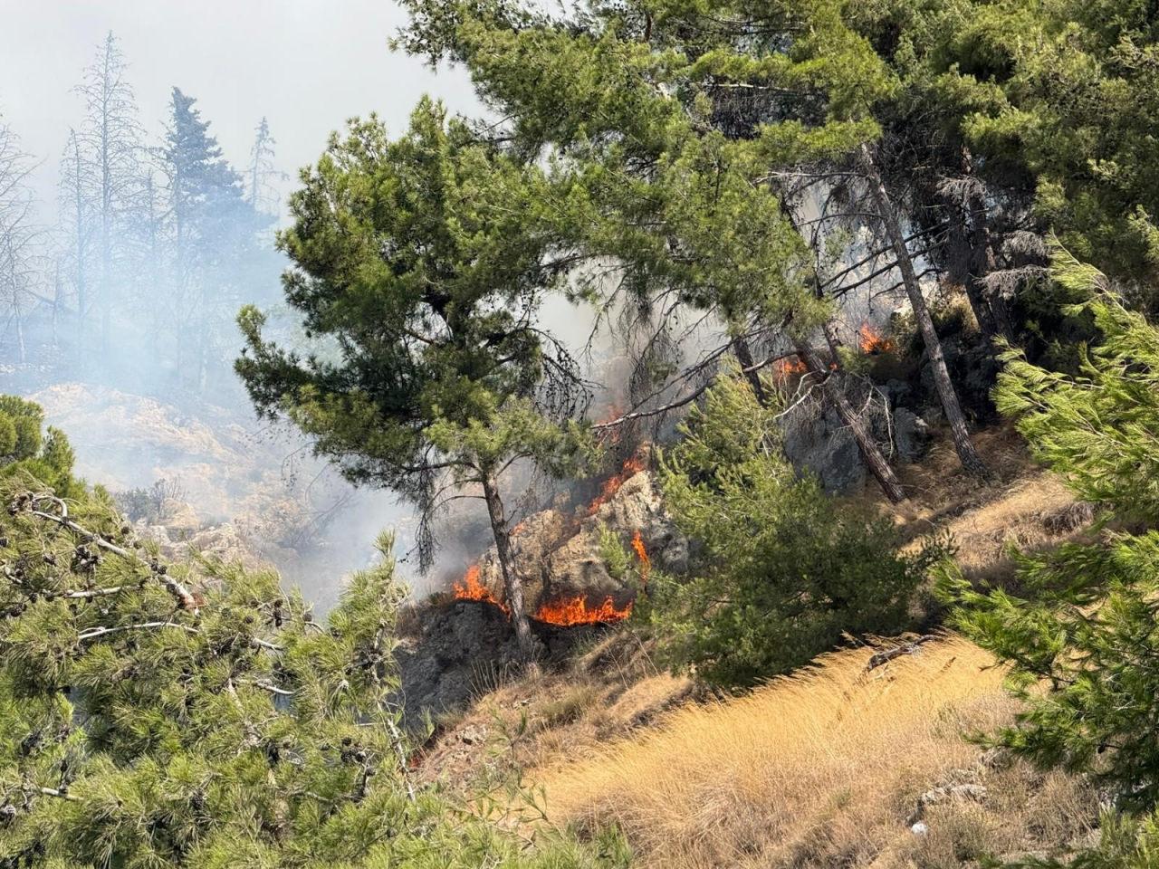 Hatay'daki yangın bir görüntü