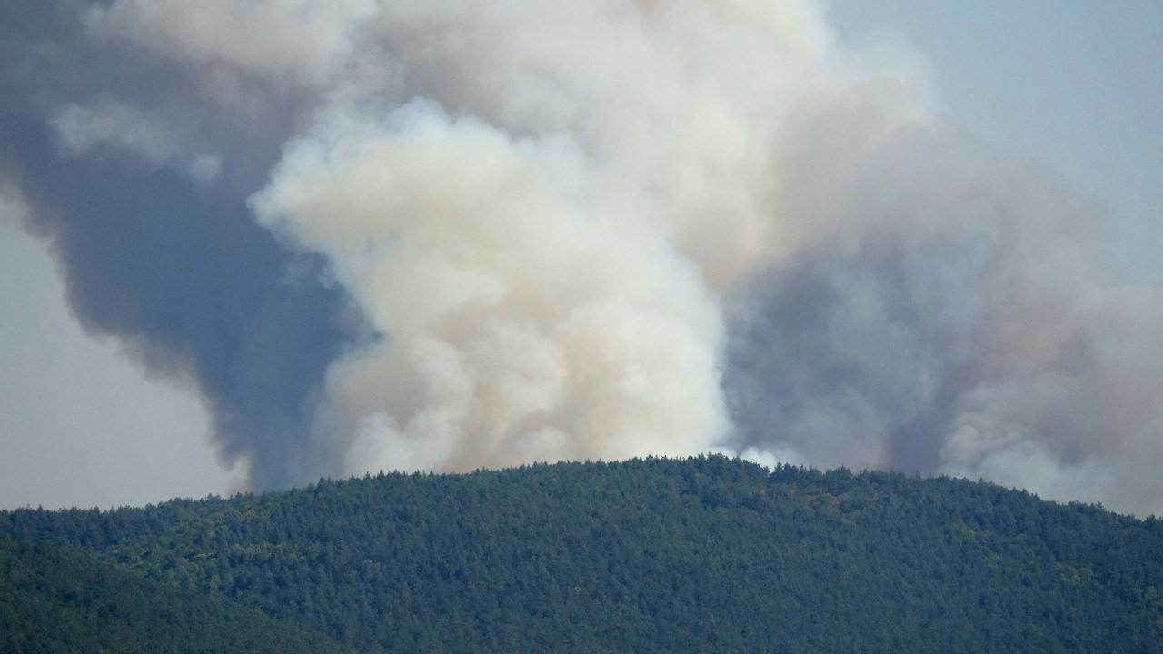 Karabük'te ormanlık alanda çıkan yangını söndürmek için çalışma başlatıldı.