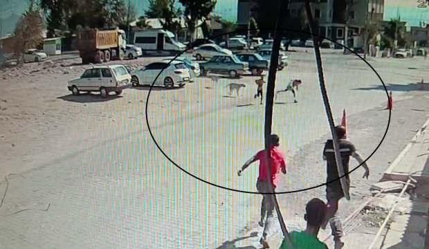 Hatay'da başıboş köpeklerden kaçan iki çocuğun o anları kameraya yansıdı