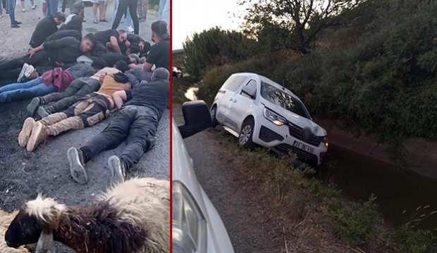 Sürüye çarpıp kanala uçtu: Kaçakçı, kaçak göçmenleri bırakıp kaçtı