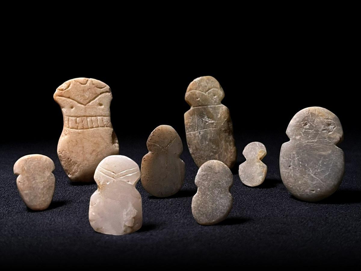 Tavşanlı Höyük'te 4 bin 500 yıllık idoller gün yüzüne çıktı