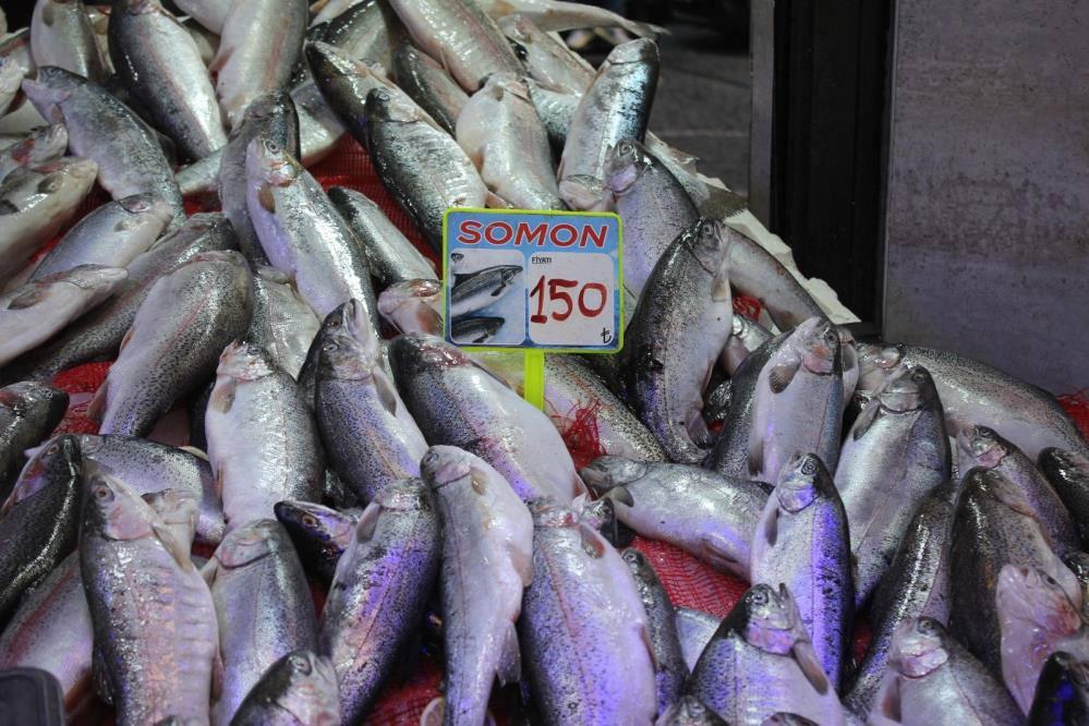 Samsun'da balıkçı tezgahındaki somon fiyatları