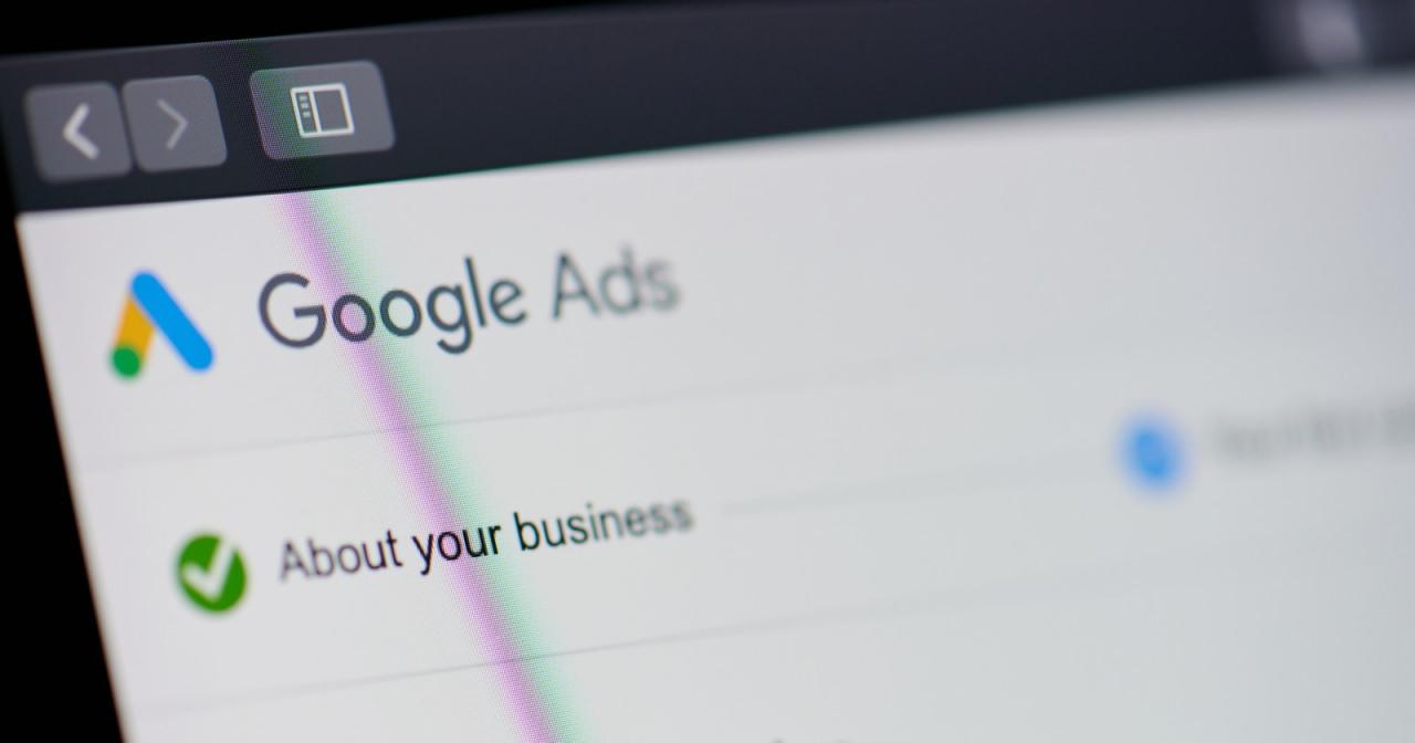 Google ADS paneli