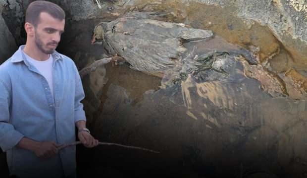 Hakkari'de gizemli vadi! İnsanlara şifa, hayvanlara ölüm getirdiği iddia edildi