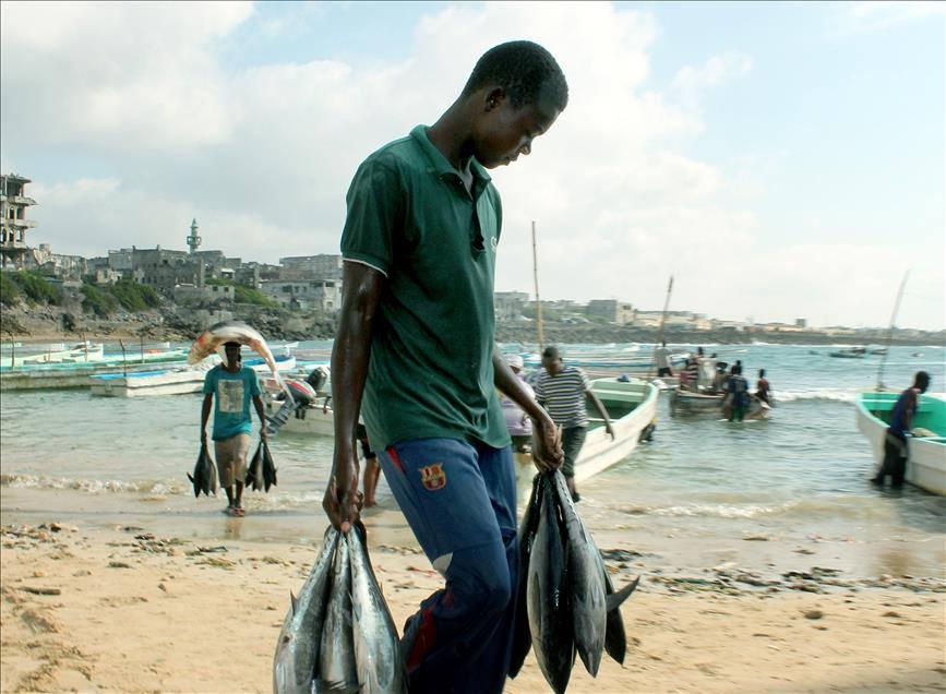 Somali'de balıkçılık (AA)