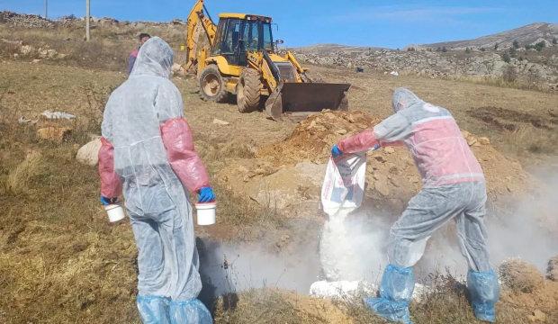 Gümüşhane’de şarbon hastalığı alarmı: 6 köye giriş çıkış yasaklandı