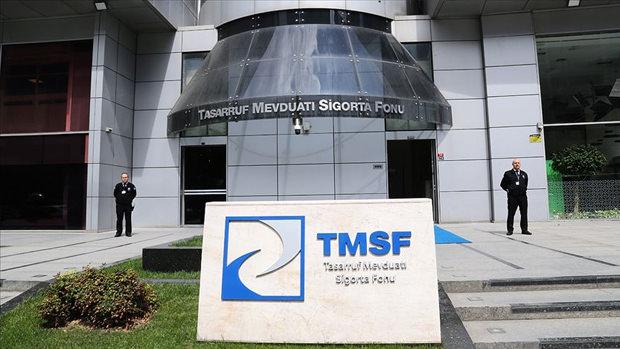 TMSF