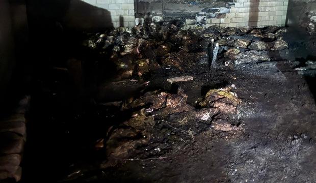 Niğde'de besiciyi kahreden manzara: 170 koyun yanarak telef oldu!