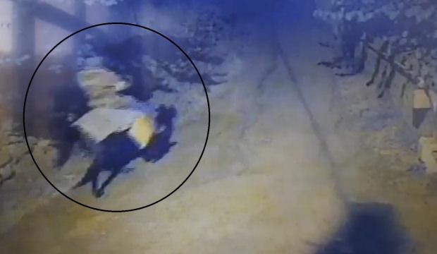 Atla geldi yaşlı çifti öldürdü! Kayseri'deki korkunç cinayeti çözen detay