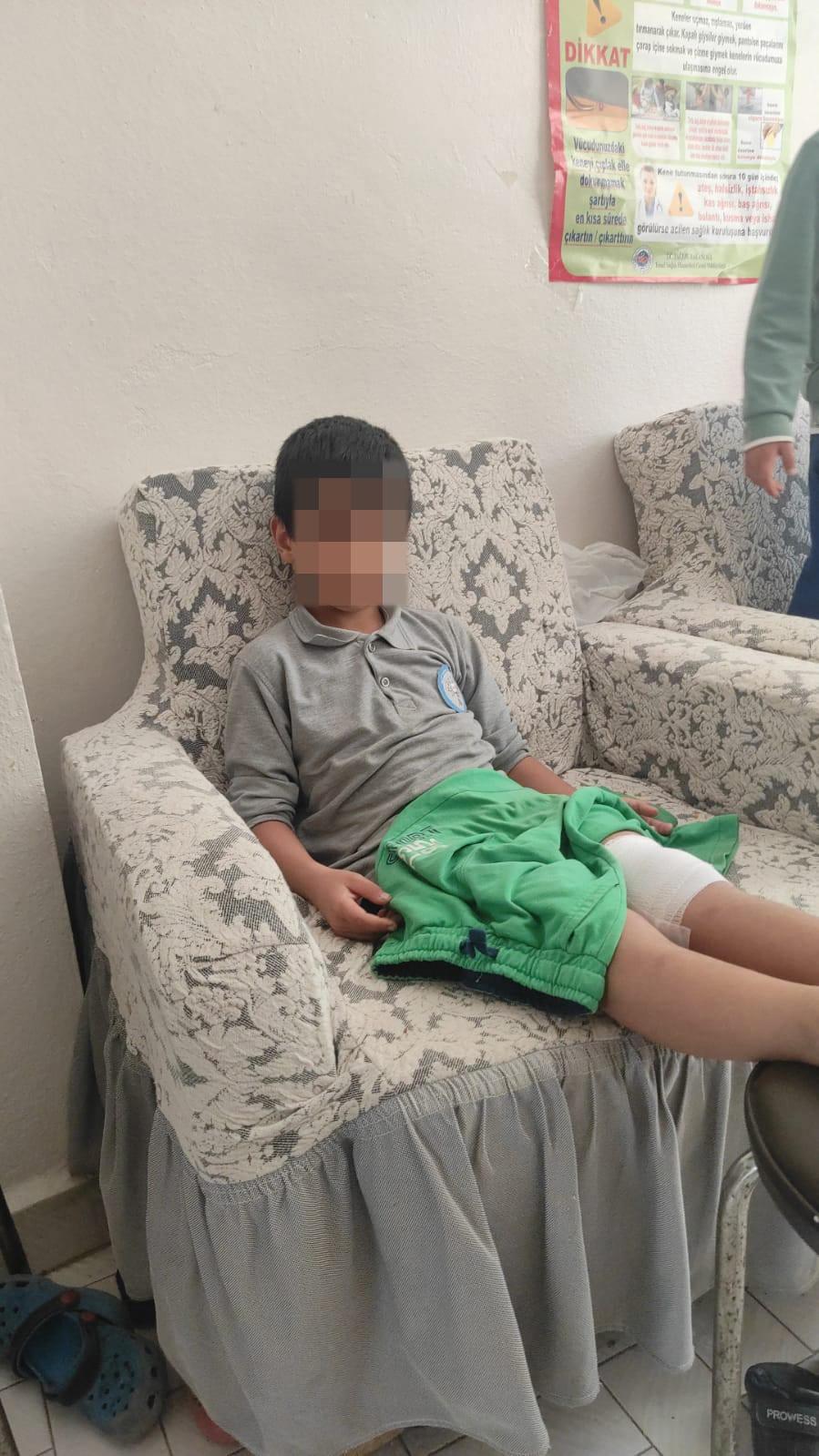 Başıboş sokak köpekleri tarafından saldırıya uğrayan 8 yaşındaki İ.A.