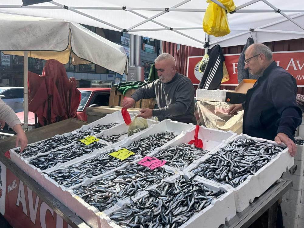 Hamsinin fiyatı 70 liraya indi, tezgahlar şenlendi