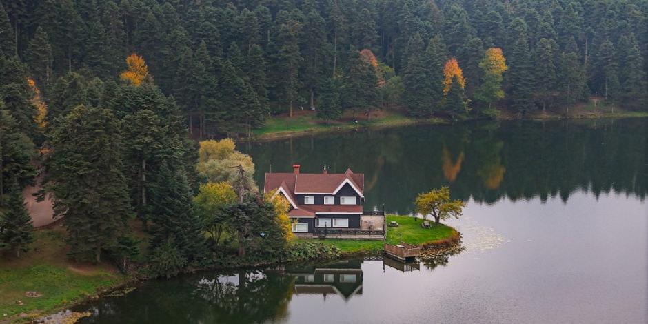 Doğal st&uuml;dyoya d&ouml;n&uuml;şt&uuml;! Sonbaharın t&uuml;m g&uuml;zellikleri bir arada