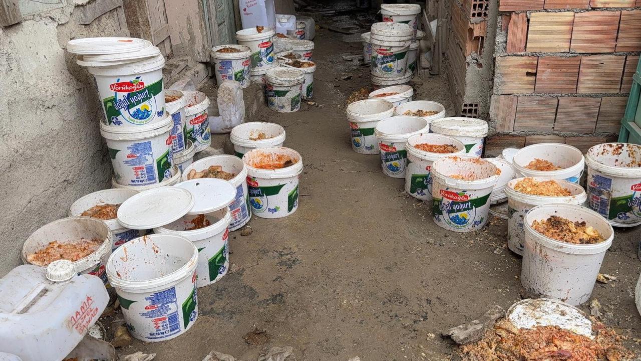 Bahçede koku yaptığı iddia edilen kedi ve köpek mamaları. 