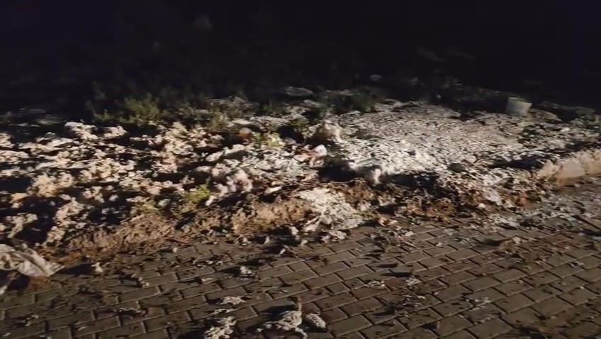 Boş araziye dökülen yoğurtlar.