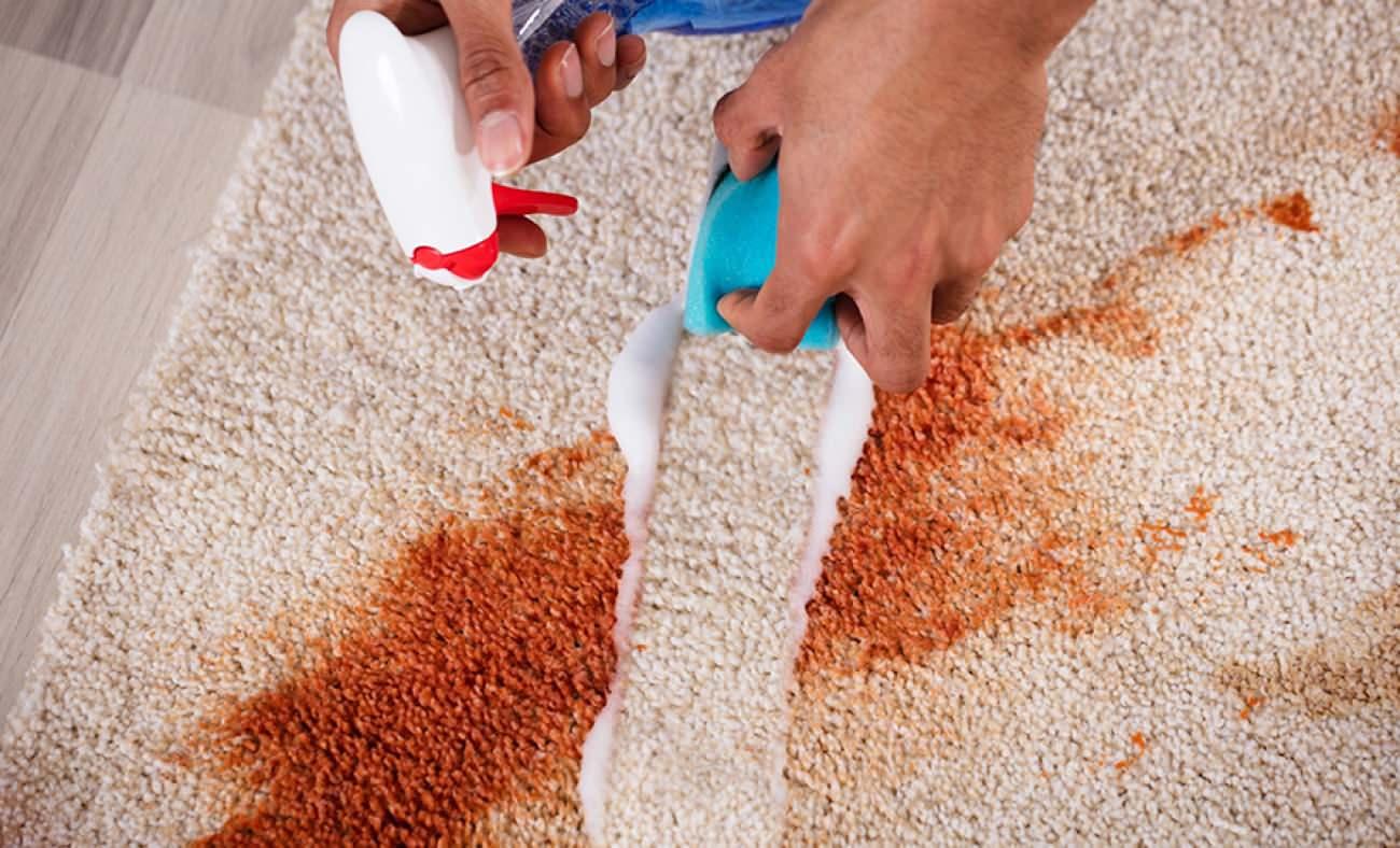 Halıların üzerinde lekeleri saniyeler içinde yok eden yöntem!