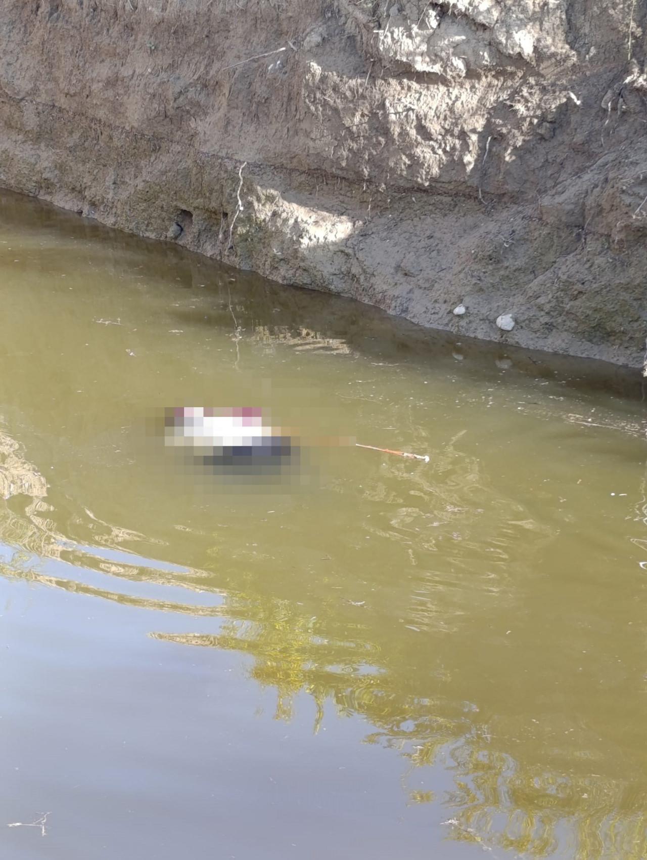  Emine Aşçı'nın cansız bedeni su dolu çukurda görüldü.