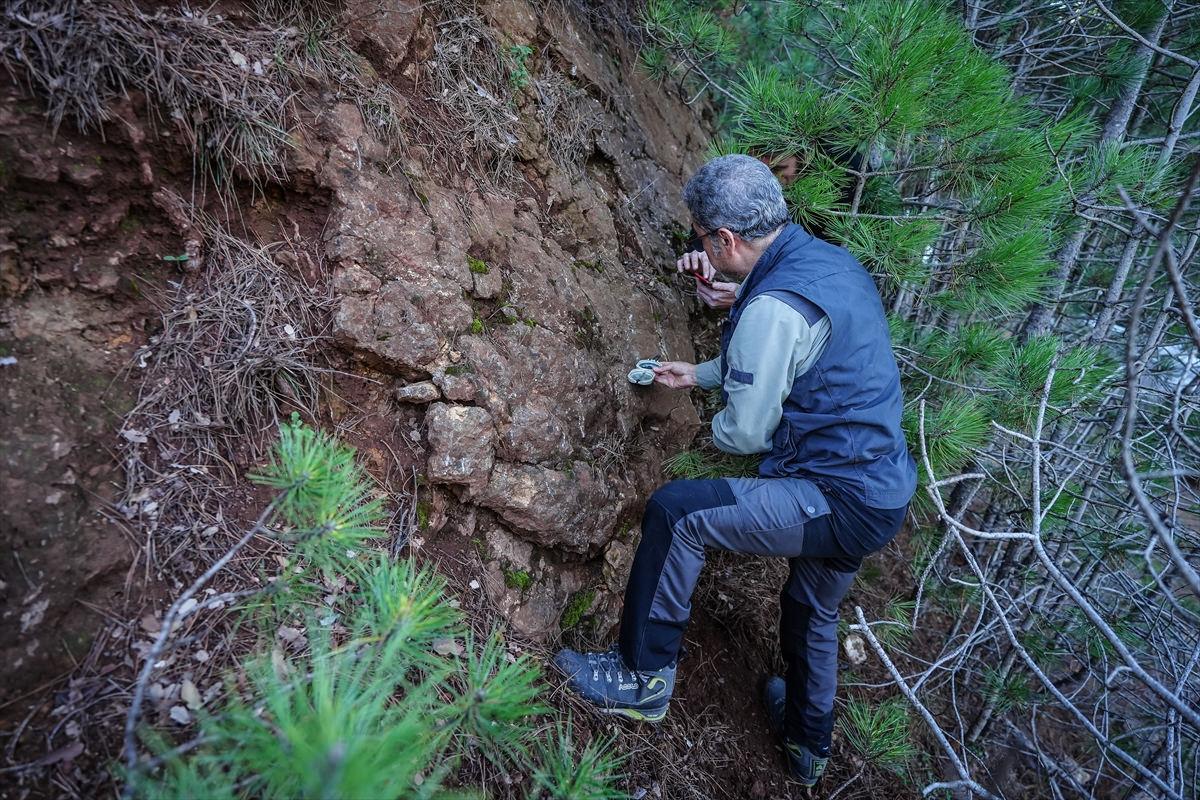 Prof. Dr. Hasan Sözbilir