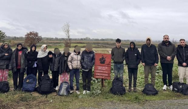 Edirne'de 29 kaçak göçmen yakalandı