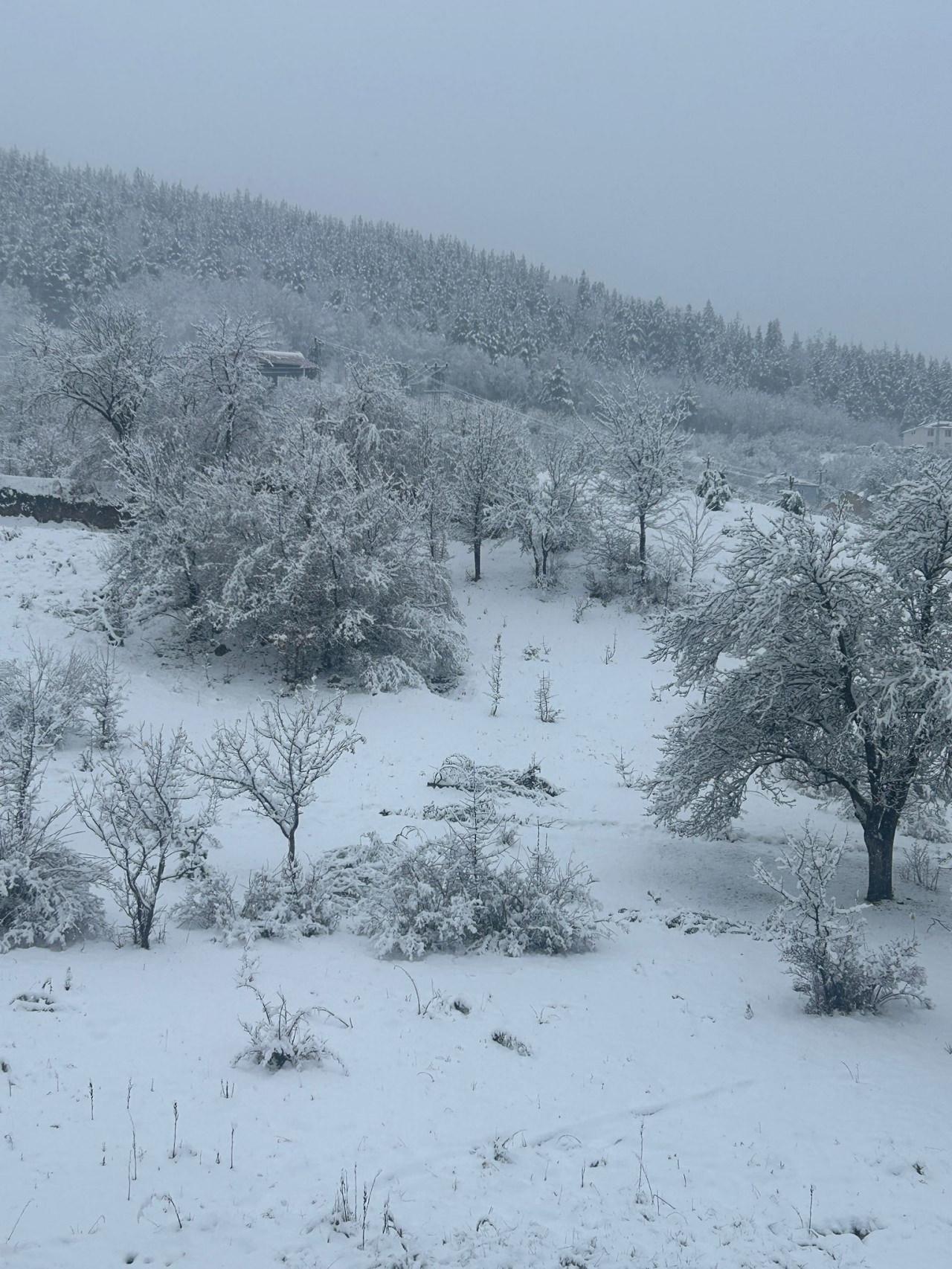 Kent beyaza büründü.