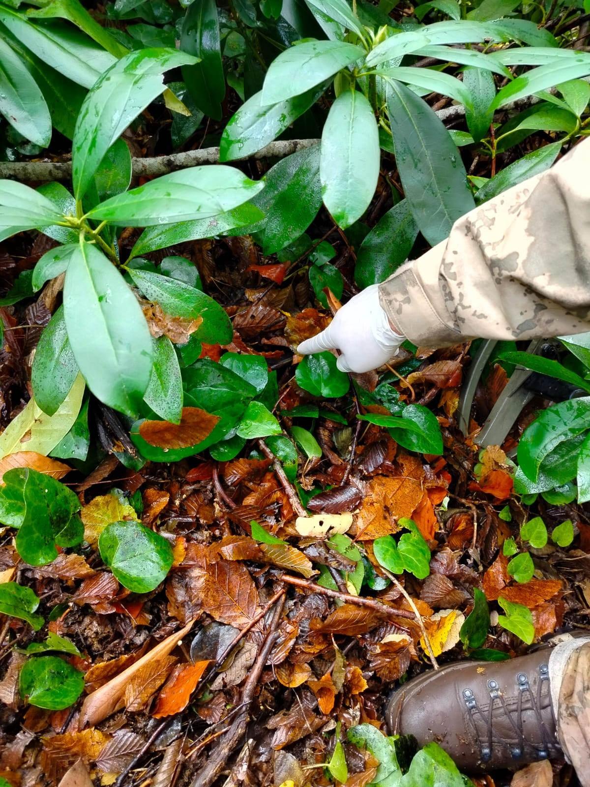 Huriye Helvacı'nın (43) kayıp cep telefon bulundu.