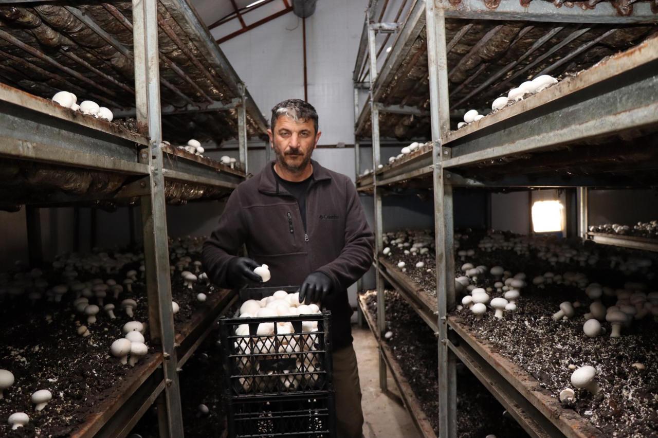 Murat Özmen bir yılda 80 tona yakın ürün alıyor.