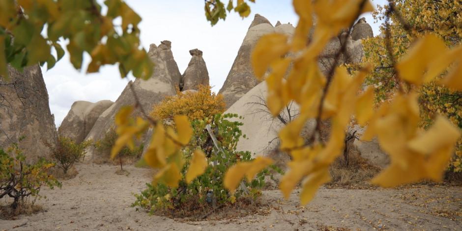 Mevsimin doğaya yansıması: Kapadokya’ya renk kattı!
