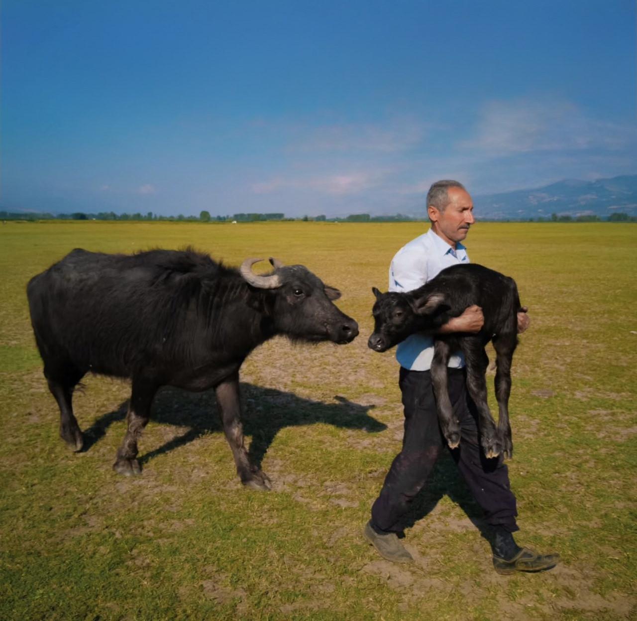 Annelik bağını anlatan ödüllü fotoğraf.