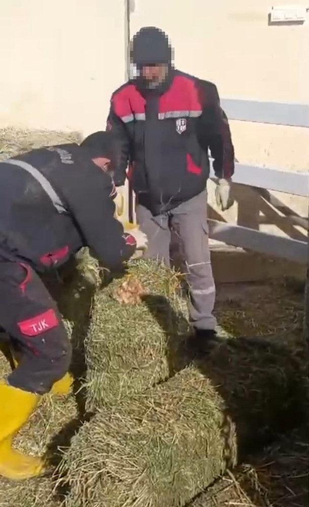 Görevlilerin balyalara taş koyduğu anlar kameraya yansıdı.