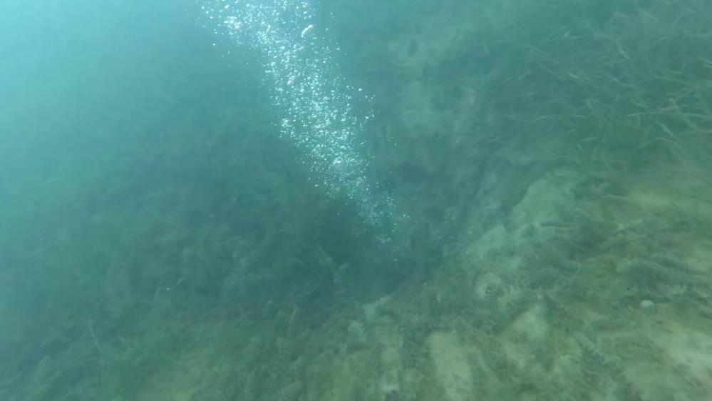 SAPANCA GÖLÜ DEPREM