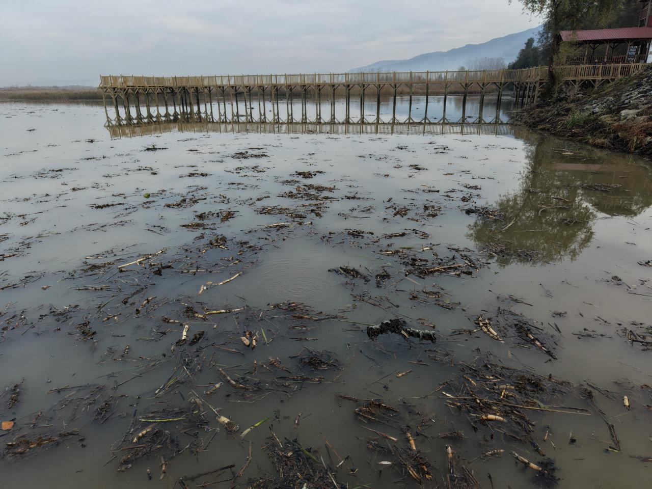 Düzce’de bulunan Efteni Gölü