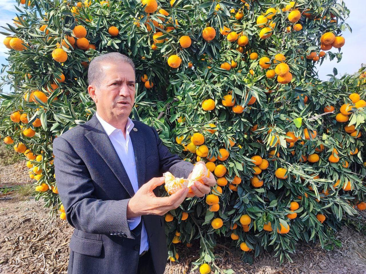 Yüreğir Ziraat Odası Başkanı Mehmet Akın Doğan