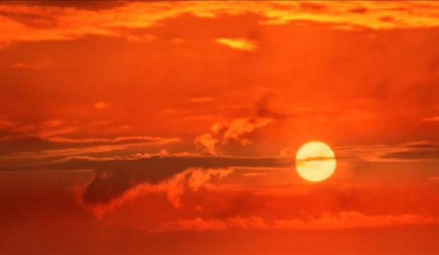 Sıcaklıktan ölüm rekoru! BM vahim tabloyu açıkladı