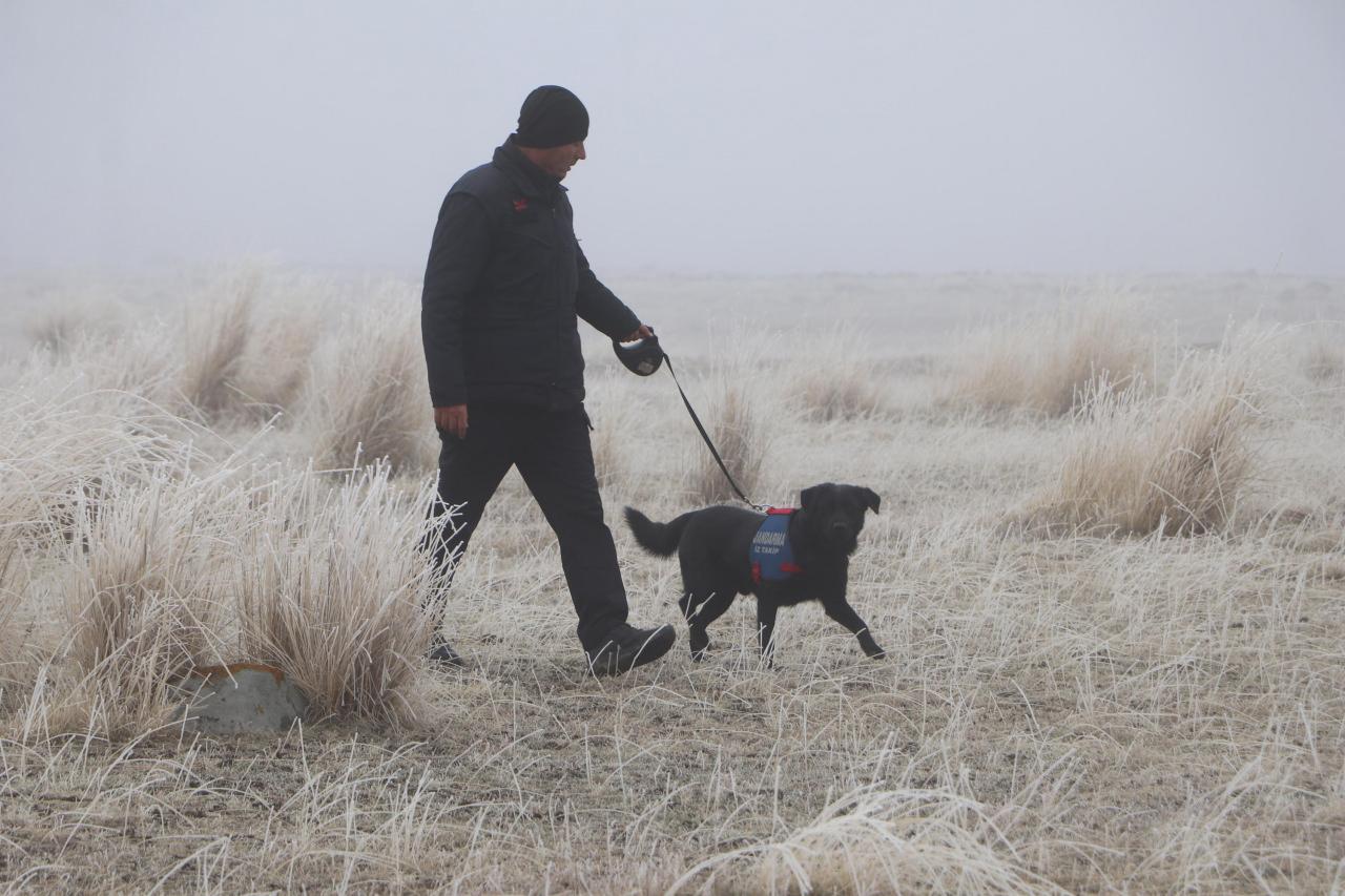 Köpekler arama tarama çalışmasına destek oluyor.