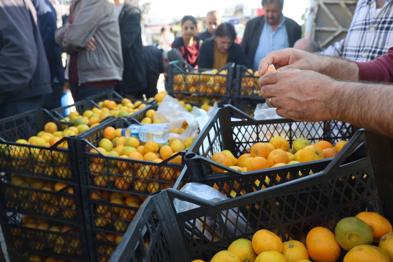 Kilolarca mandalina ücretsiz dağıtıldı. 