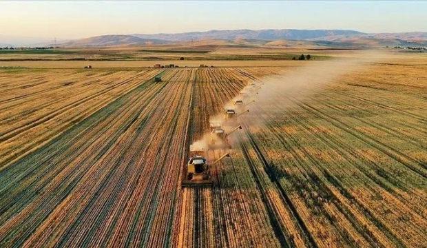 Tarım ÜFE ekimde arttı