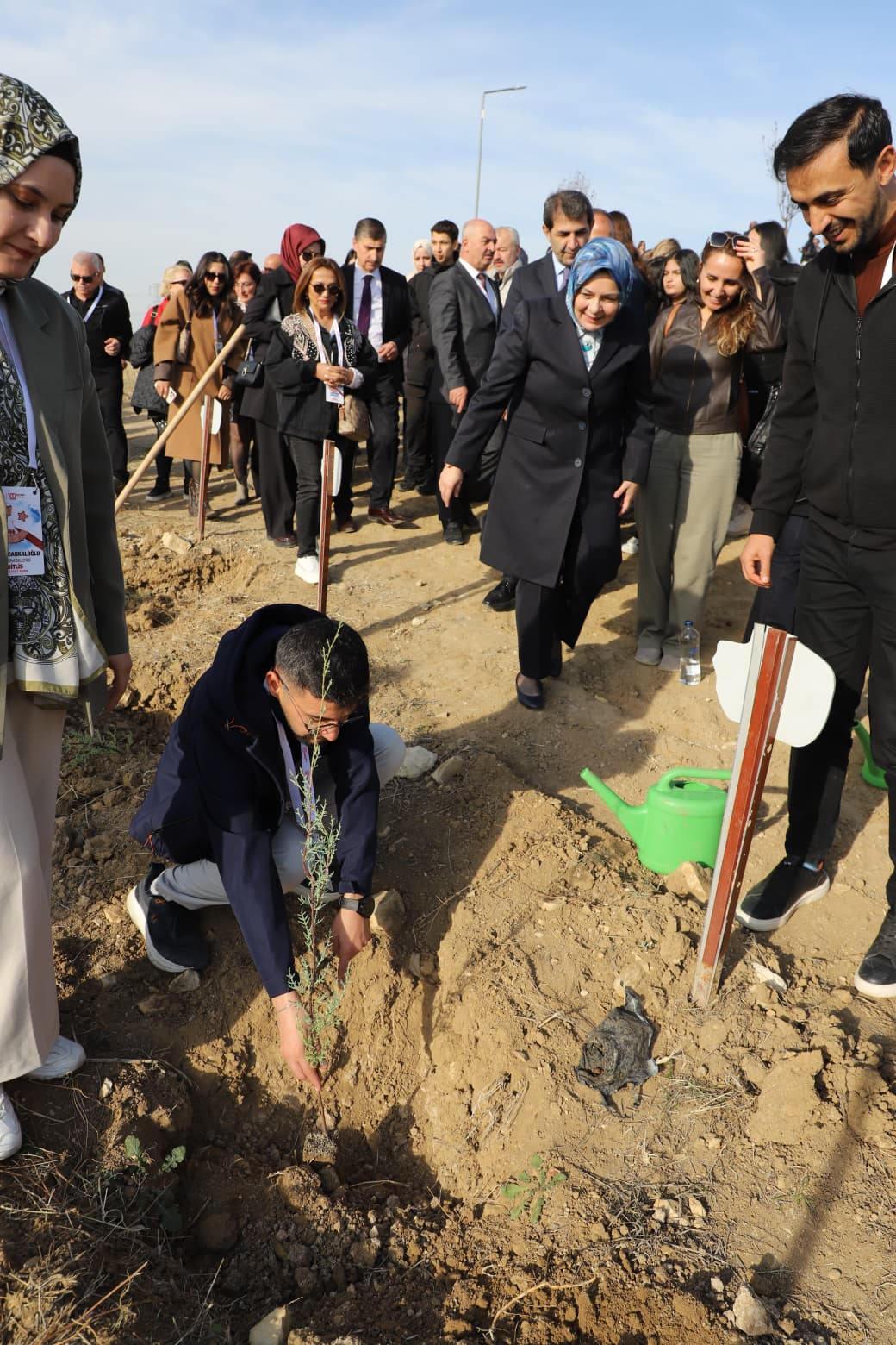 Şehit öğretmenler anısına ormana fidan dikildi. 