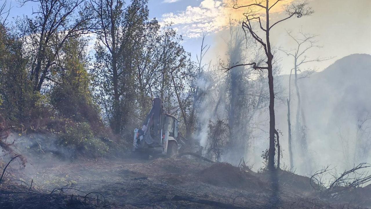 Hopa'da rüzgarın da etkisiyle alevler ormana sıçradı.