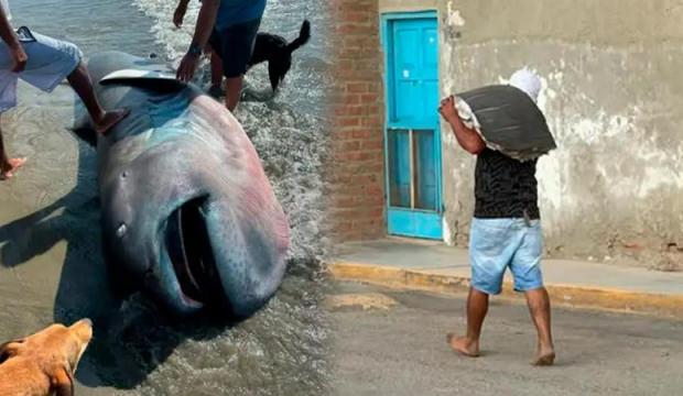 Bilim dünyası için servet değerindeydi! Endemik balık üç dakikada fileto oldu!