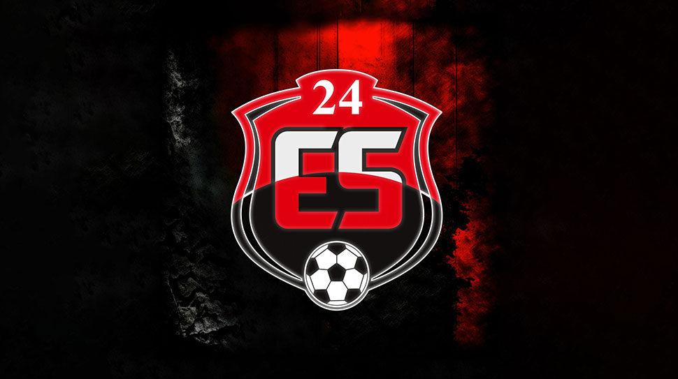 24 Erzincanspor'un logosu