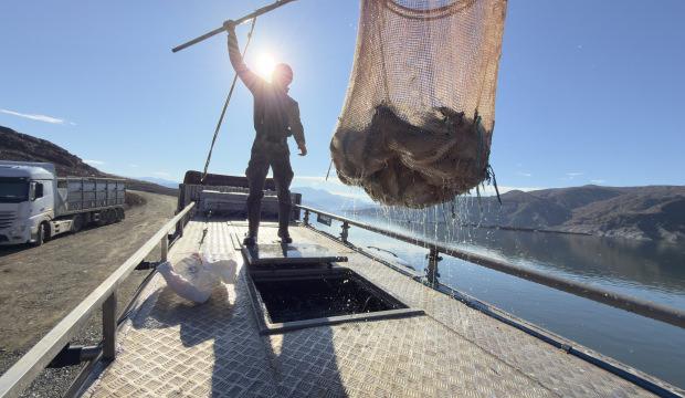 Denizi olmayan şehirden Japonya ve Avrupa'ya somon ihracatı