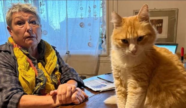 Dünyada bir ilk: Ağır suçlamalar nedeniyle kediye ev hapsi verildi!