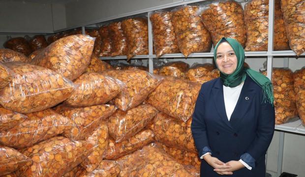 KOSGEB desteğiyle hayatı değişti! Kadın girişimci şimdi Kanada'ya ihracat yapıyor