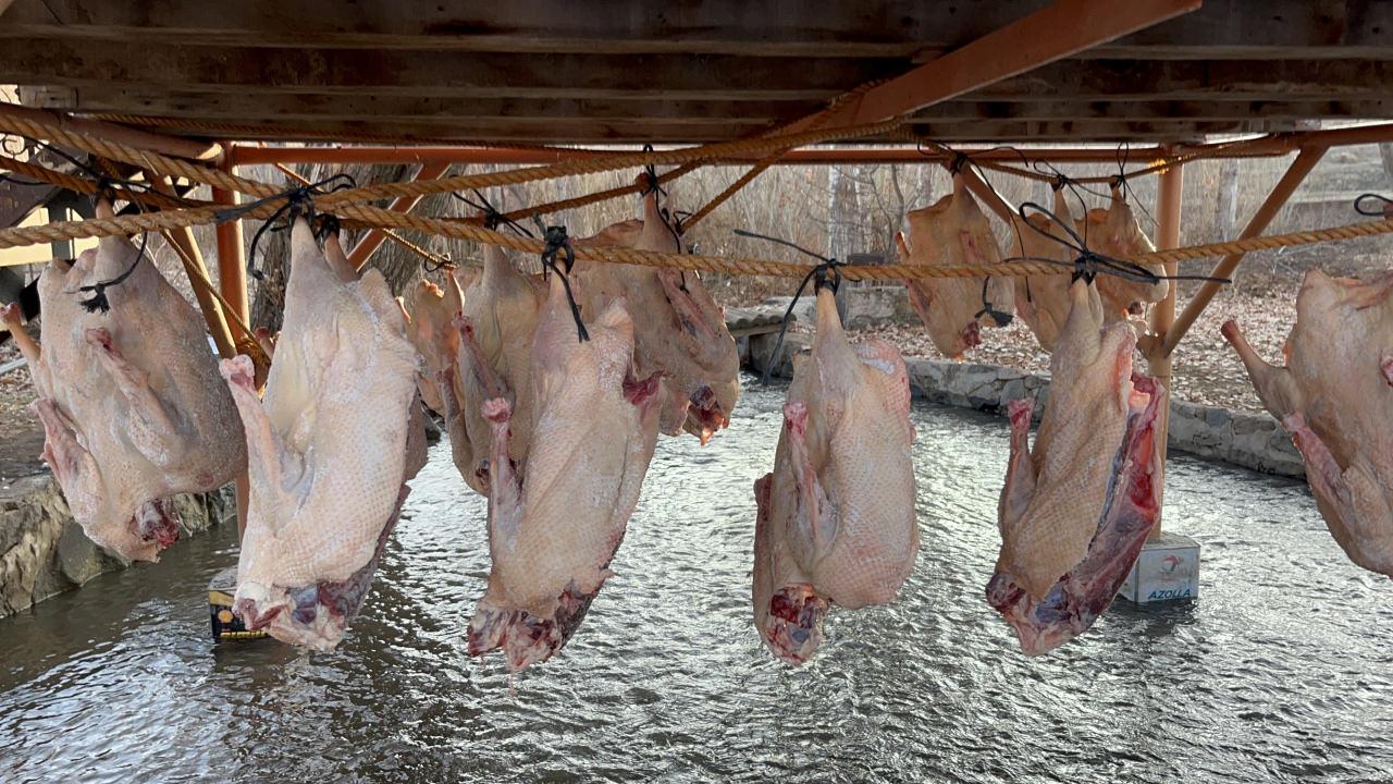 Kurutulan kaz etleri