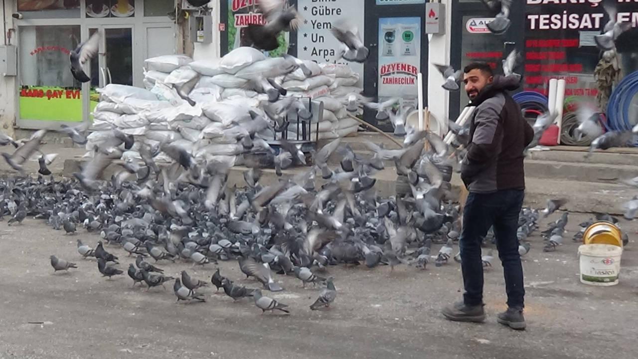 Esnaflar kuşlara yem veriyor.