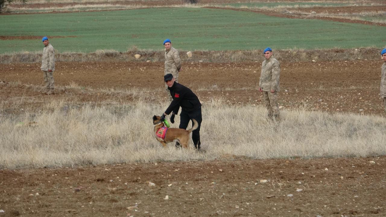 Özdemir'in kayıp uzvu hala aranıyor.